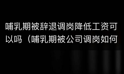 哺乳期被辞退调岗降低工资可以吗（哺乳期被公司调岗如何申请劳动仲裁）