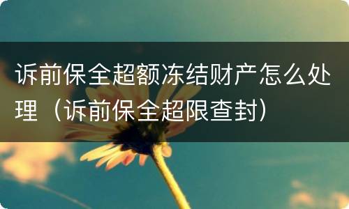 诉前保全超额冻结财产怎么处理（诉前保全超限查封）