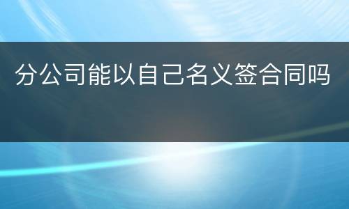 分公司能以自己名义签合同吗