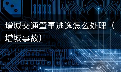 增城交通肇事逃逸怎么处理（增城事故）