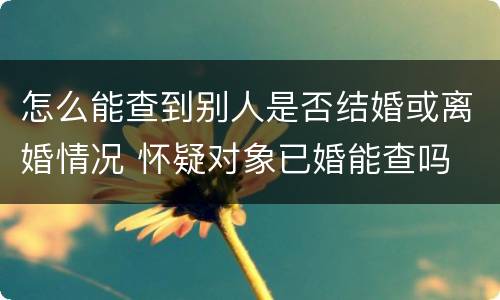 怎么能查到别人是否结婚或离婚情况 怀疑对象已婚能查吗