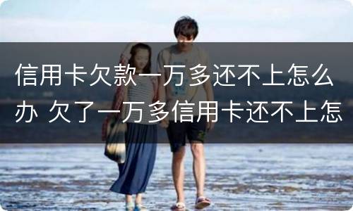 信用卡欠款一万多还不上怎么办 欠了一万多信用卡还不上怎么办