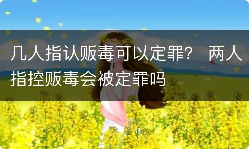 几人指认贩毒可以定罪？ 两人指控贩毒会被定罪吗