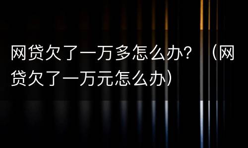网贷欠了一万多怎么办？（网贷欠了一万元怎么办）