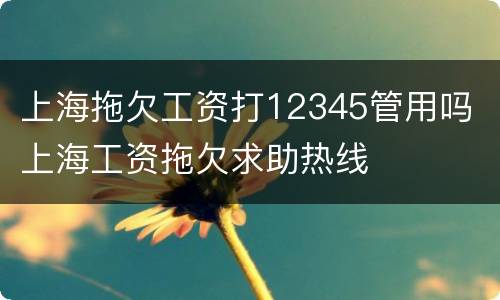 上海拖欠工资打12345管用吗 上海工资拖欠求助热线