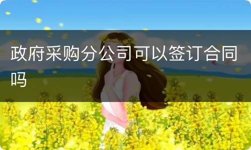 政府采购分公司可以签订合同吗