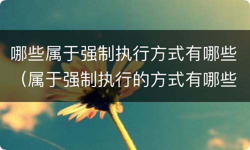 哪些属于强制执行方式有哪些（属于强制执行的方式有哪些）