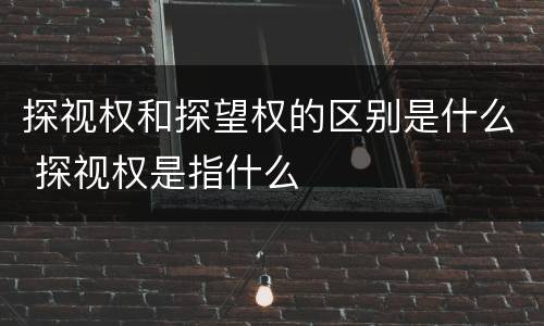 探视权和探望权的区别是什么 探视权是指什么