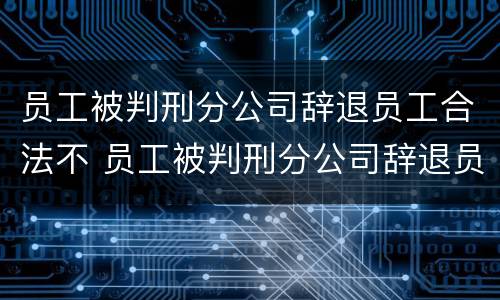 员工被判刑分公司辞退员工合法不 员工被判刑分公司辞退员工合法不合理