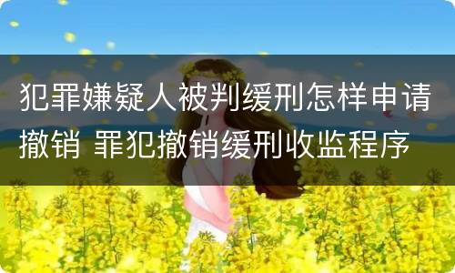 犯罪嫌疑人被判缓刑怎样申请撤销 罪犯撤销缓刑收监程序