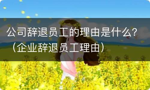 公司辞退员工的理由是什么？（企业辞退员工理由）