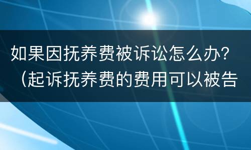 如果因抚养费被诉讼怎么办？（起诉抚养费的费用可以被告出吗）