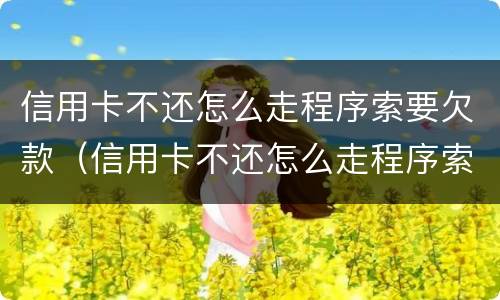 信用卡不还怎么走程序索要欠款（信用卡不还怎么走程序索要欠款呢）