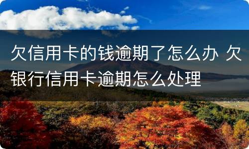 欠信用卡的钱逾期了怎么办 欠银行信用卡逾期怎么处理