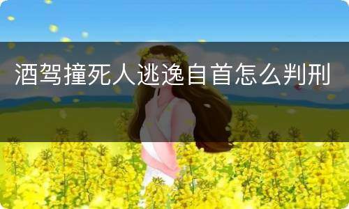 酒驾撞死人逃逸自首怎么判刑