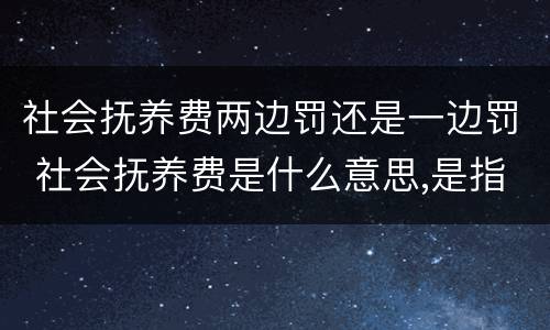 社会抚养费两边罚还是一边罚 社会抚养费是什么意思,是指罚款吗?