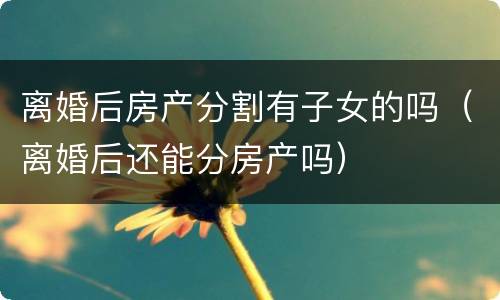 离婚后房产分割有子女的吗（离婚后还能分房产吗）