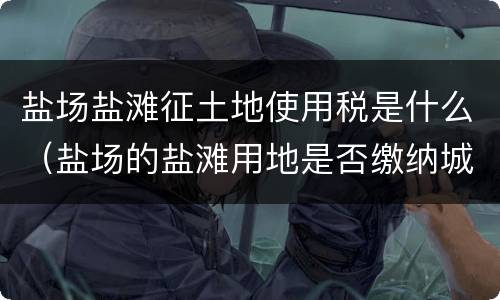 盐场盐滩征土地使用税是什么（盐场的盐滩用地是否缴纳城镇土地使用税）