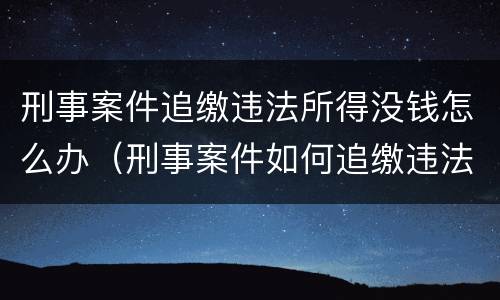 刑事案件追缴违法所得没钱怎么办（刑事案件如何追缴违法所得）