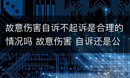 故意伤害自诉不起诉是合理的情况吗 故意伤害 自诉还是公诉