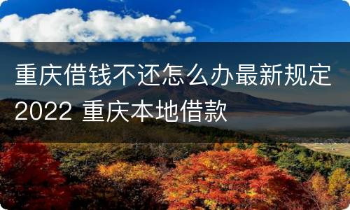 重庆借钱不还怎么办最新规定2022 重庆本地借款