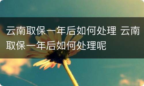 云南取保一年后如何处理 云南取保一年后如何处理呢