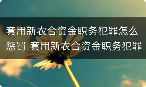 套用新农合资金职务犯罪怎么惩罚 套用新农合资金职务犯罪怎么惩罚的