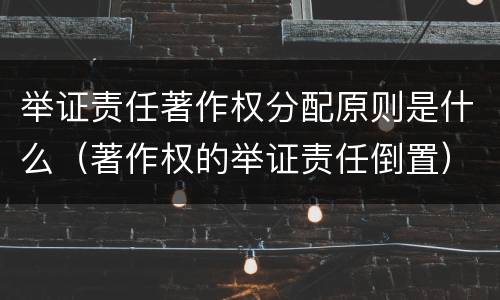 举证责任著作权分配原则是什么（著作权的举证责任倒置）