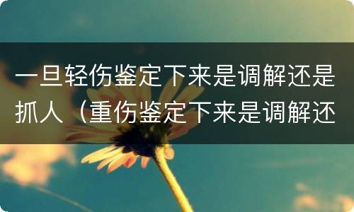 一旦轻伤鉴定下来是调解还是抓人（重伤鉴定下来是调解还是抓人）