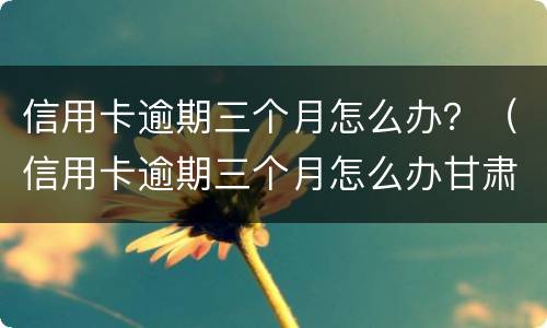 信用卡逾期三个月怎么办？（信用卡逾期三个月怎么办甘肃）