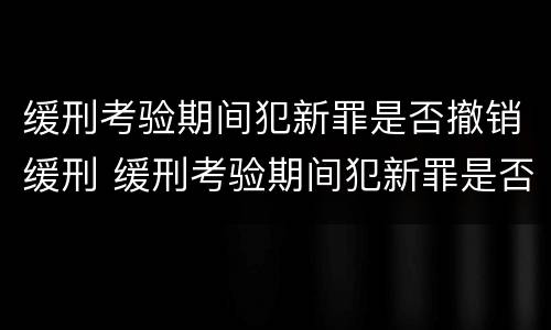 缓刑考验期间犯新罪是否撤销缓刑 缓刑考验期间犯新罪是否撤销缓刑案件