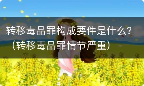 转移毒品罪构成要件是什么？（转移毒品罪情节严重）