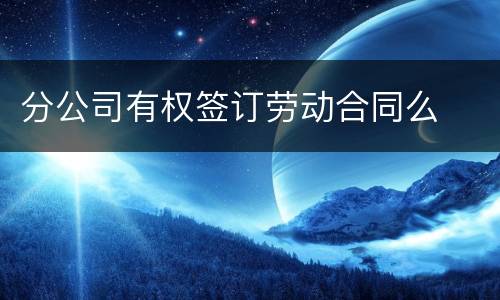分公司有权签订劳动合同么