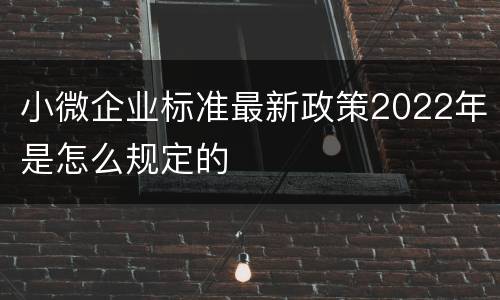 小微企业标准最新政策2022年是怎么规定的