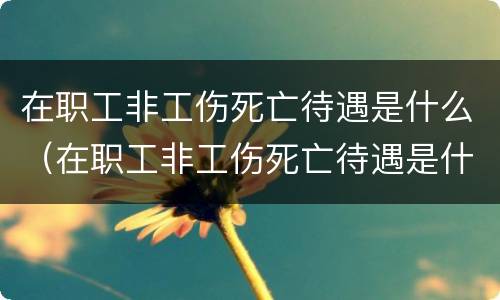 在职工非工伤死亡待遇是什么（在职工非工伤死亡待遇是什么标准）