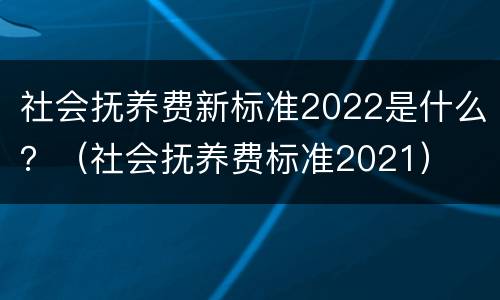 社会抚养费新标准2022是什么？（社会抚养费标准2021）