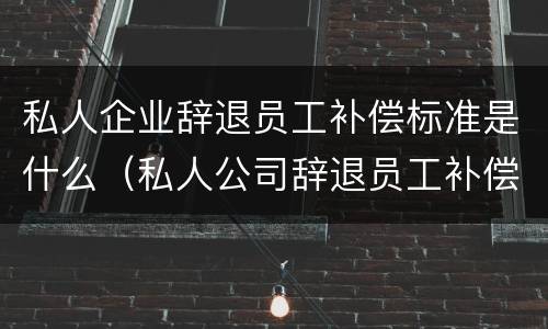 私人企业辞退员工补偿标准是什么（私人公司辞退员工补偿标准）