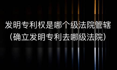 发明专利权是哪个级法院管辖（确立发明专利去哪级法院）