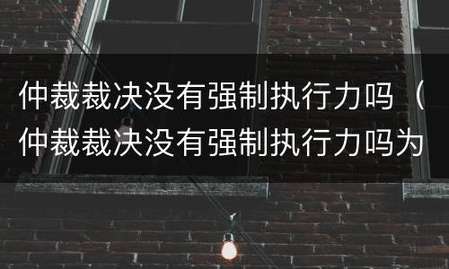 仲裁裁决没有强制执行力吗（仲裁裁决没有强制执行力吗为什么）