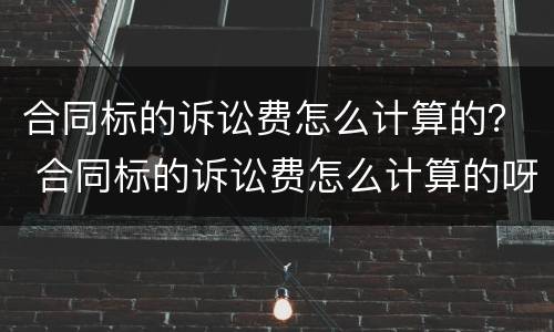 合同标的诉讼费怎么计算的？ 合同标的诉讼费怎么计算的呀