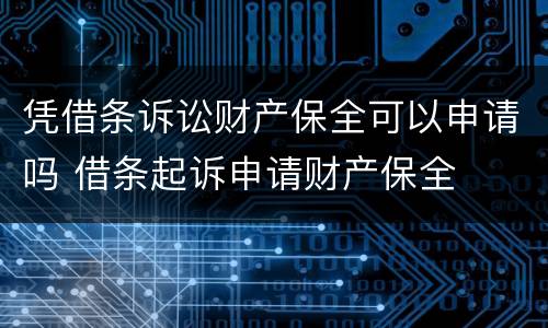 凭借条诉讼财产保全可以申请吗 借条起诉申请财产保全