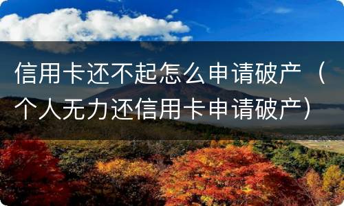 信用卡还不起怎么申请破产（个人无力还信用卡申请破产）