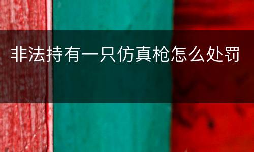 非法持有一只仿真枪怎么处罚