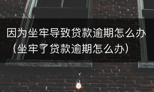 因为坐牢导致贷款逾期怎么办（坐牢了贷款逾期怎么办）