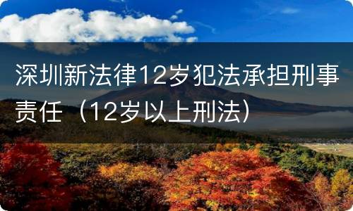 深圳新法律12岁犯法承担刑事责任（12岁以上刑法）