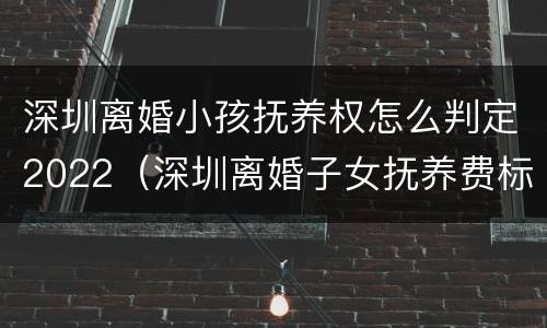 深圳离婚小孩抚养权怎么判定2022（深圳离婚子女抚养费标准）