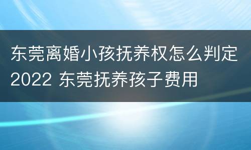 东莞离婚小孩抚养权怎么判定2022 东莞抚养孩子费用