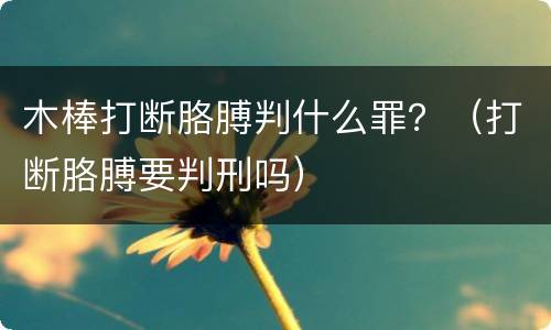 木棒打断胳膊判什么罪？（打断胳膊要判刑吗）