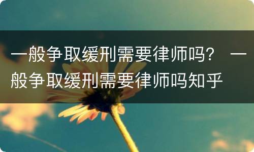 一般争取缓刑需要律师吗？ 一般争取缓刑需要律师吗知乎
