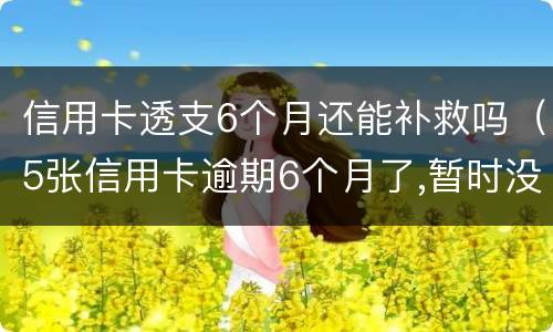信用卡透支6个月还能补救吗（5张信用卡逾期6个月了,暂时没能力还）